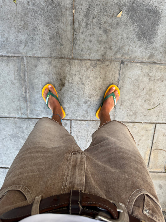 Tierra shorts